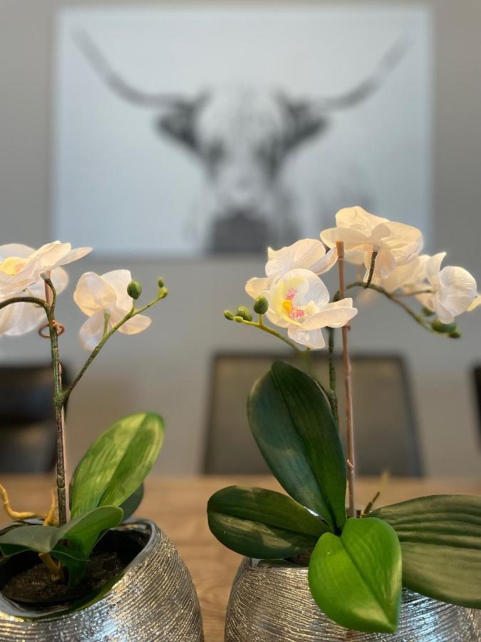 Winterberg Appartement Winterspot 외부 사진